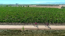 Chicharra Greenway (Yecla section)