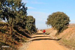 Ruta de la Plata Greenway (Salamanca.-Alba.de.Tormes)