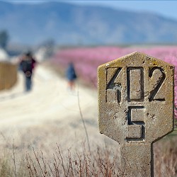 Cieza Flowering Greenway