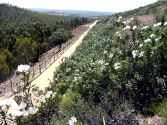 Guadiana Greenway