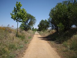 Ro Tinto Greenway