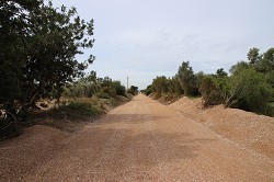 Delta de lEbre Greenway (LAldea section)