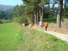 Mutiloa-Ormaiztegi Greenway