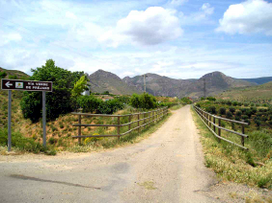 Prjano Greenway