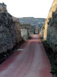 The 40 Days Train Greenway