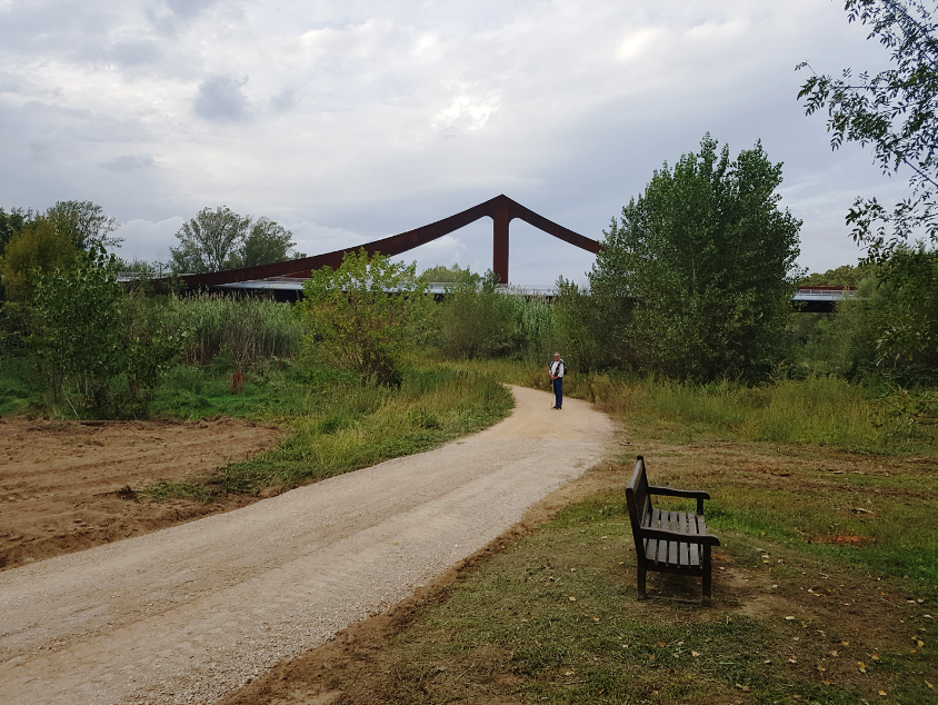 Tren Pinxo Greenway