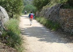 Benidorm Greenway