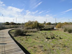 Matagorda Greenway