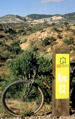 Vía Verde de la Sierra - Sevilla-Cádiz