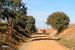 V. V.Ruta de la Plata (Salamanca.-Alba.de.Tormes)